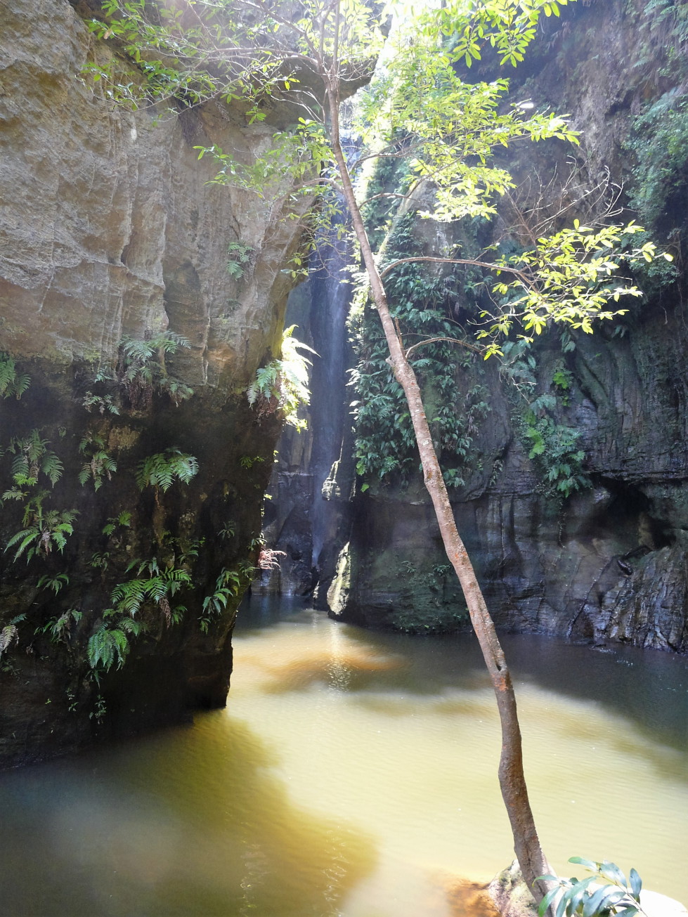 Cascade des nymphes Cascade des nymphes