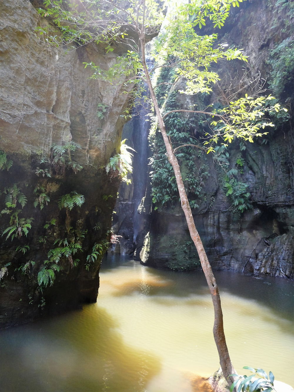 Cascade des nymphes