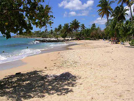 Plage de gros raisins Plage de gros raisins