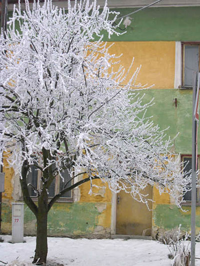 Maison de Valtice Maison de Valtice