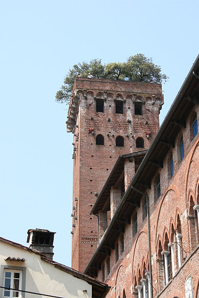 Torre Guinigi Torre Guinigi