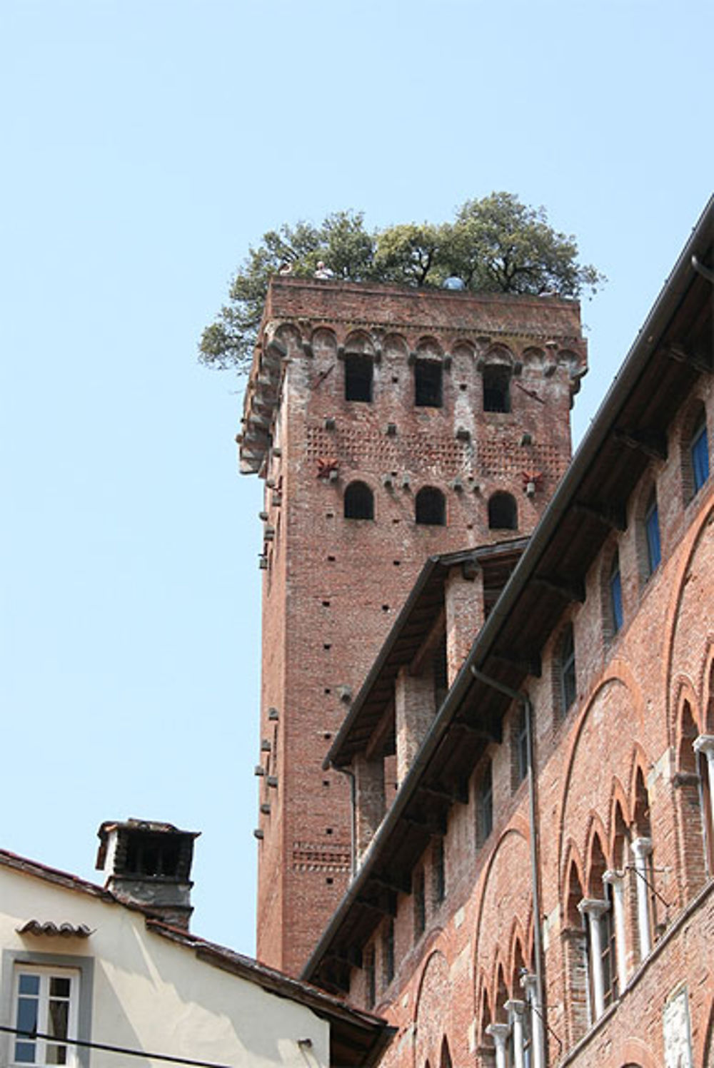 Torre Guinigi