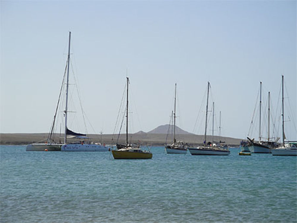 Port