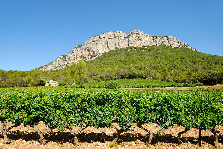 L’Oenotour : 515 km de routes des vins à travers l’Hérault