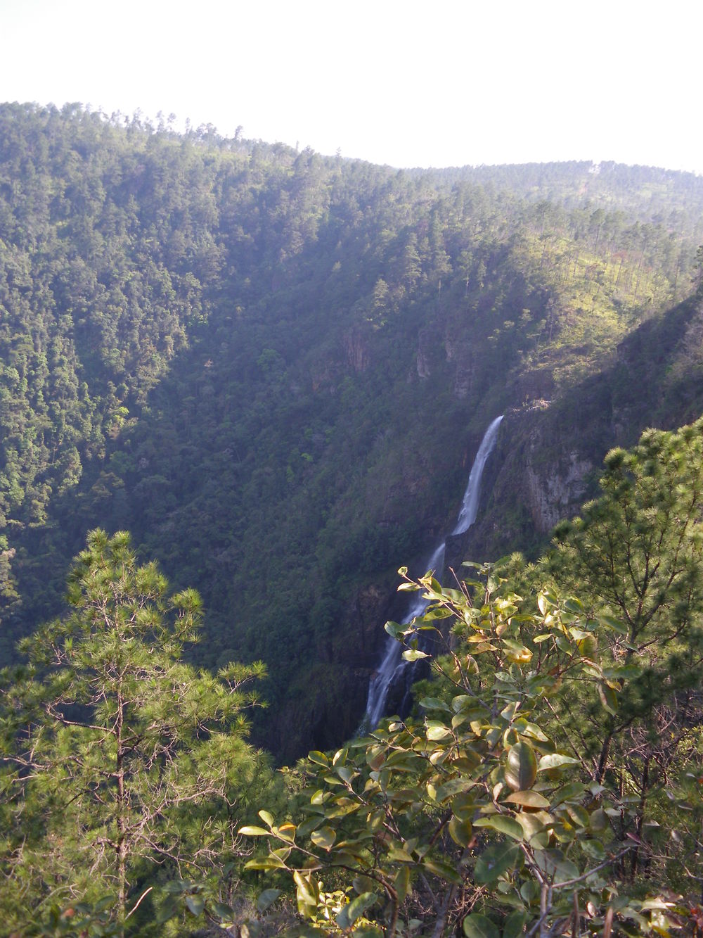 1000 foot falls