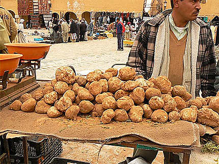 Ghardaia, saison de truffes
