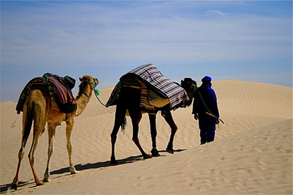 Mohamed avec Kiki et Caramel