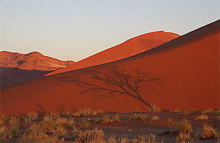 Coucher de soleil sur la dune 25