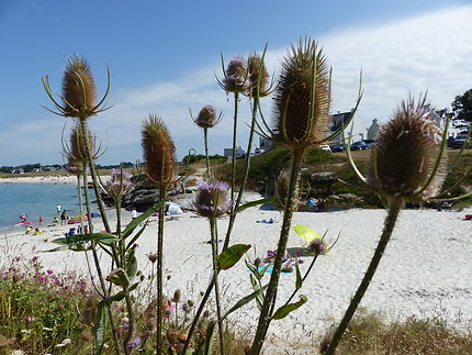 Plage de Trevignon 