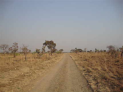 Route dans la savane de Kafue