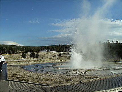 Geyser à Yellowstone