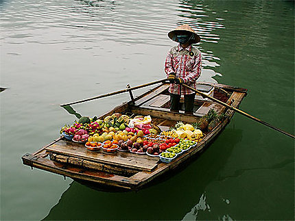 Vendeuse de fruits sur la baie d'Along