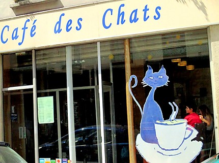 Paris insolite. Les cafés des chats