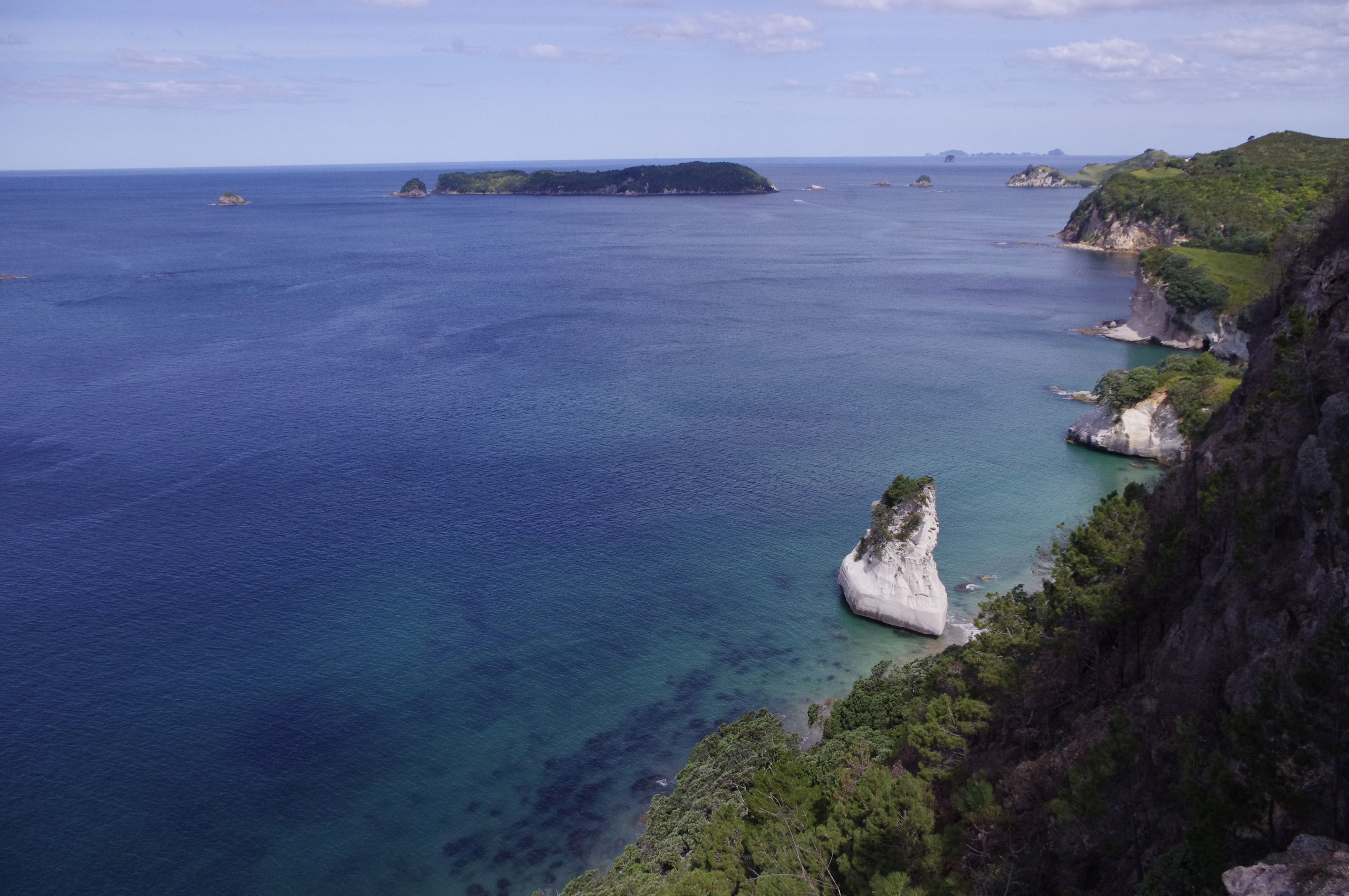 Walk in Coromandel, Hahei and Cathedral Cove