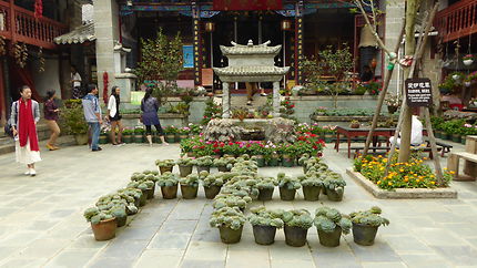 Temple Jizhao, cour fleurie