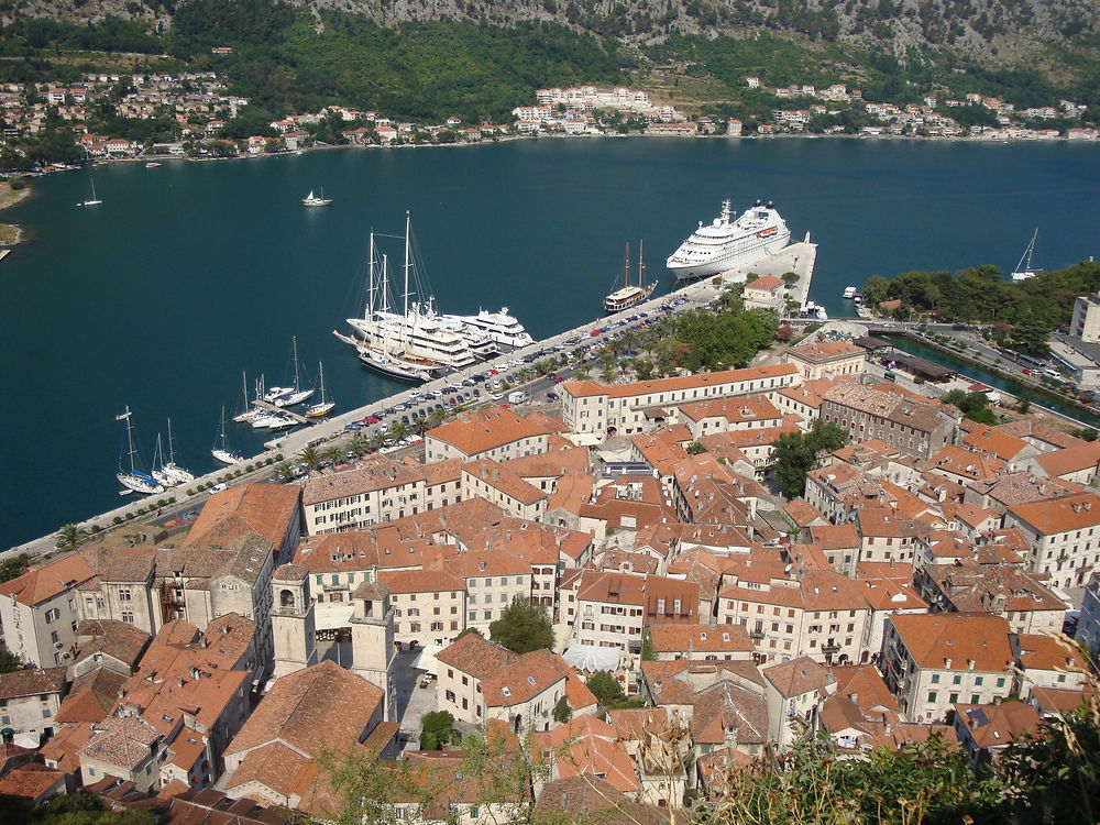 Kotor