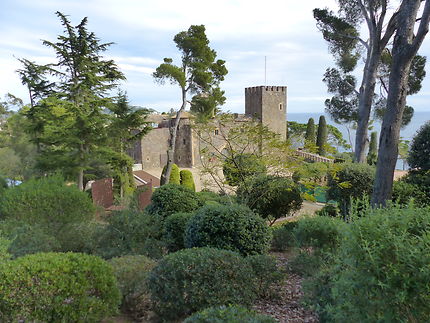 Jardin botanique 