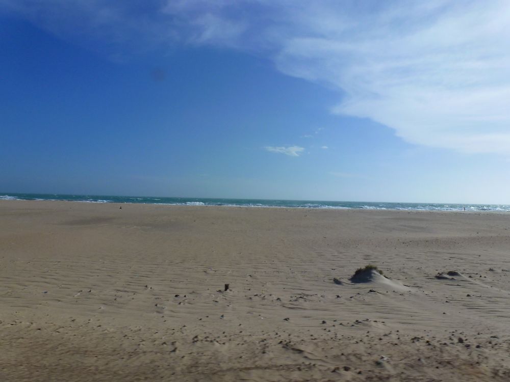 Plage de Dhanuskodi