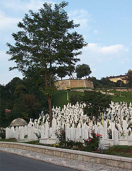 Le cimetière de Kovaci