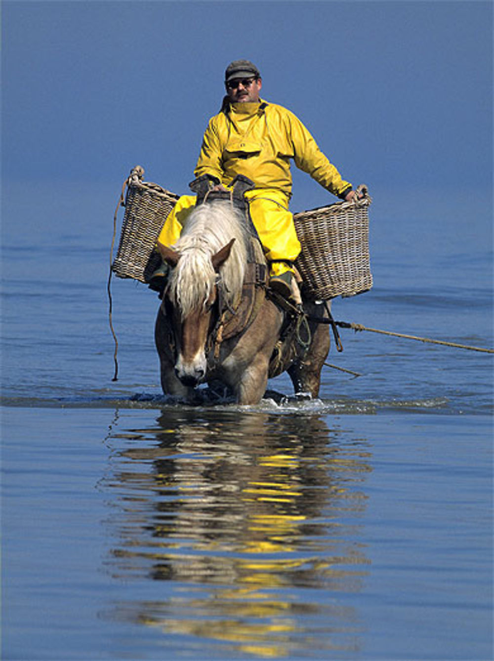 Pêcheur de crevette à cheval