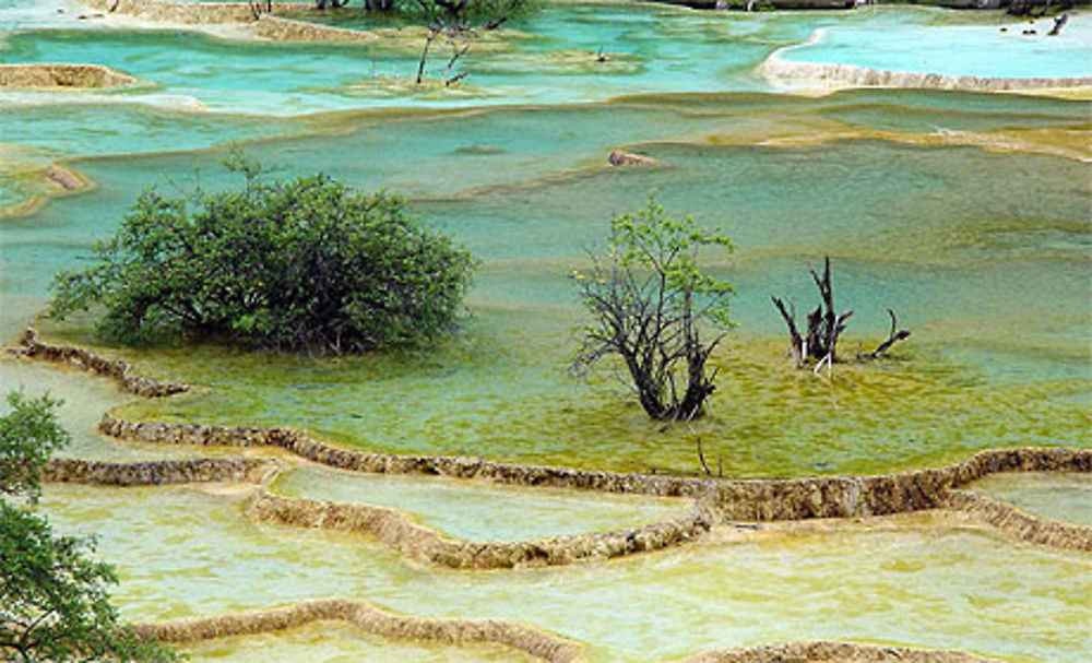 Qui peut faire mieux que la nature ?