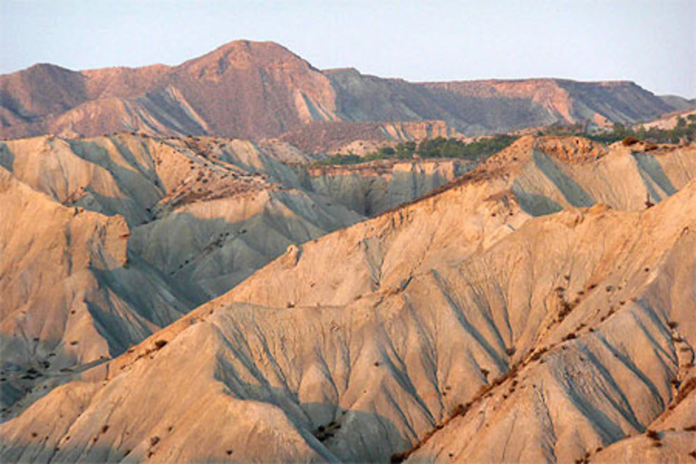 Bad Lands de Tabernas...