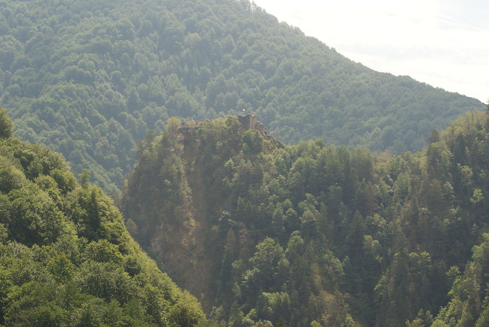 Ruines du château du comte Dracula