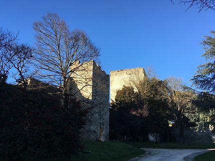 Château des Adhémar