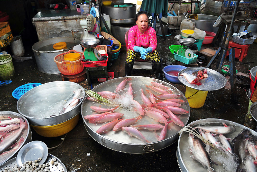 Poissons frais