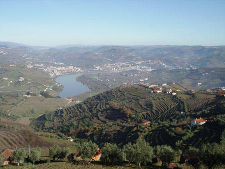 Vue sur la ville de Régua et le Douro Vue sur la ville de Régua et le Douro