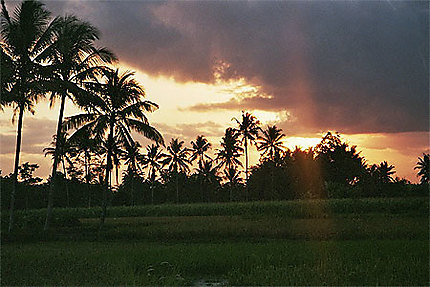 Coucher de soleil dans les rizières
