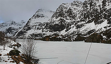 Fjord gelé