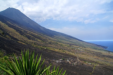 Habitations à flanc de volcan à Fogo