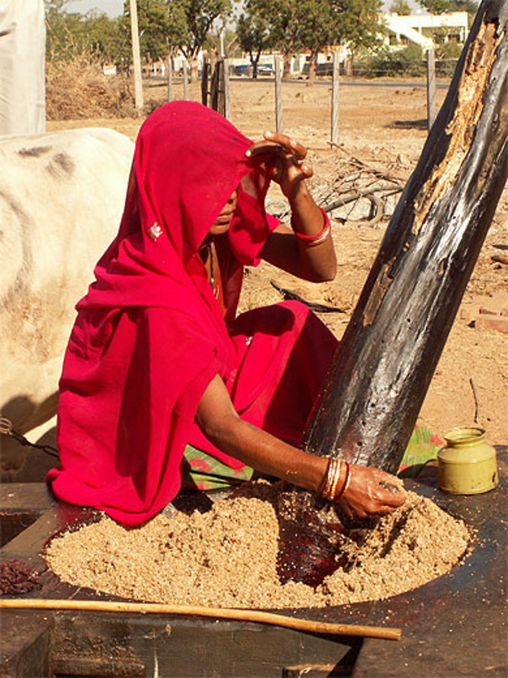 Toute la pudeur indienne