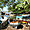 Barques de pêche à Negombo