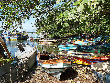 Barques de pêche à Negombo
