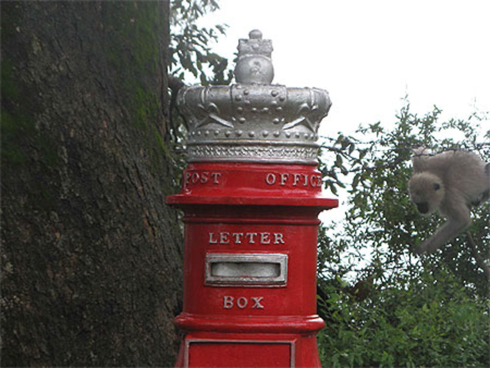 La Poste au Musée à Simla