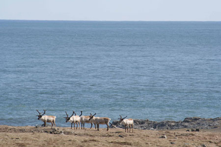Rennes en bord d'océan atlantique Rennes en bord d'océan atlantique