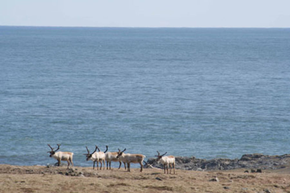 Rennes en bord d'océan atlantique