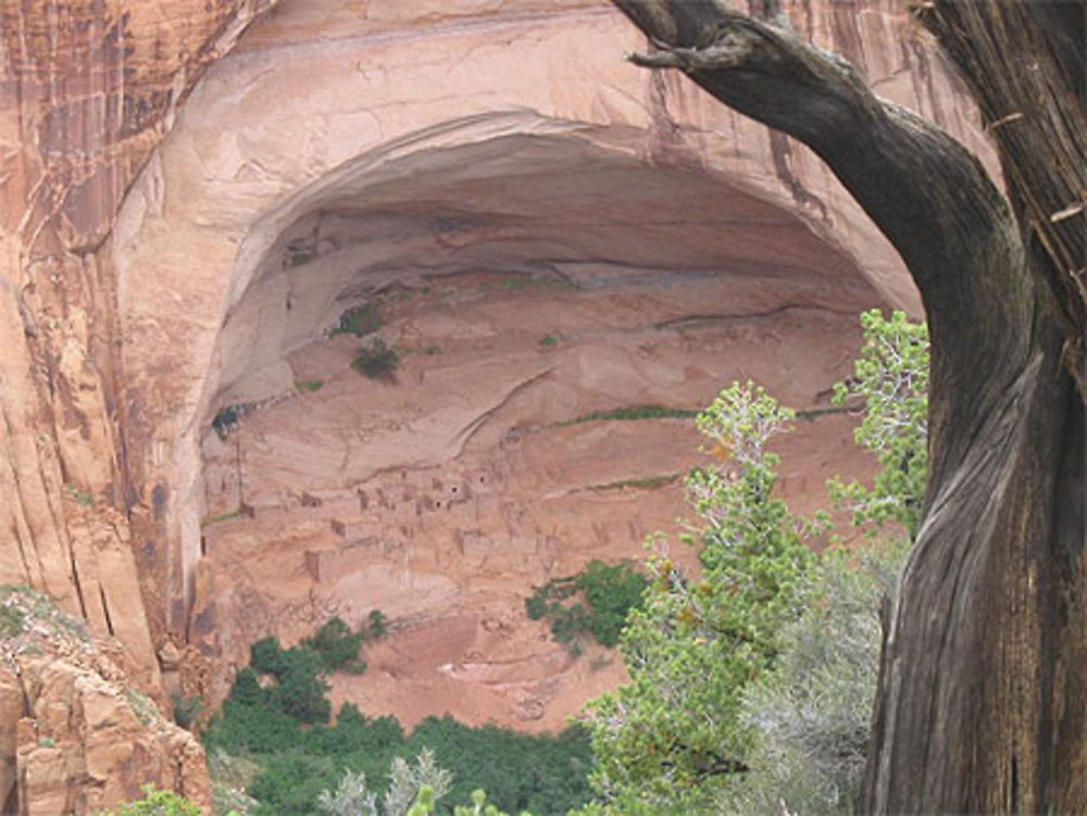 Navajo Nat Monument