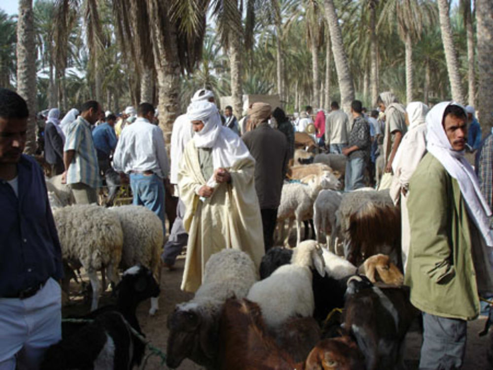 le marché des animaux