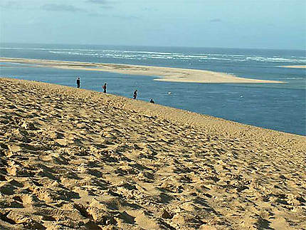 La dune du Pyla, la plus haute dune d'Europe (commune de la Teste) 