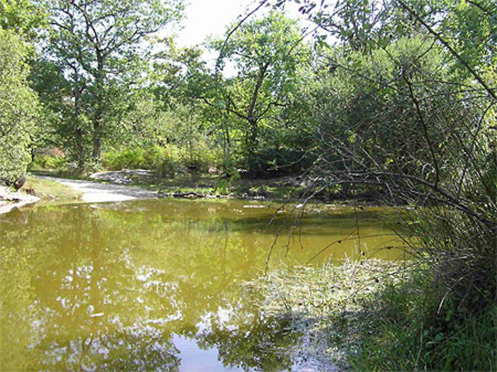 Mare des Gorges de Franchard