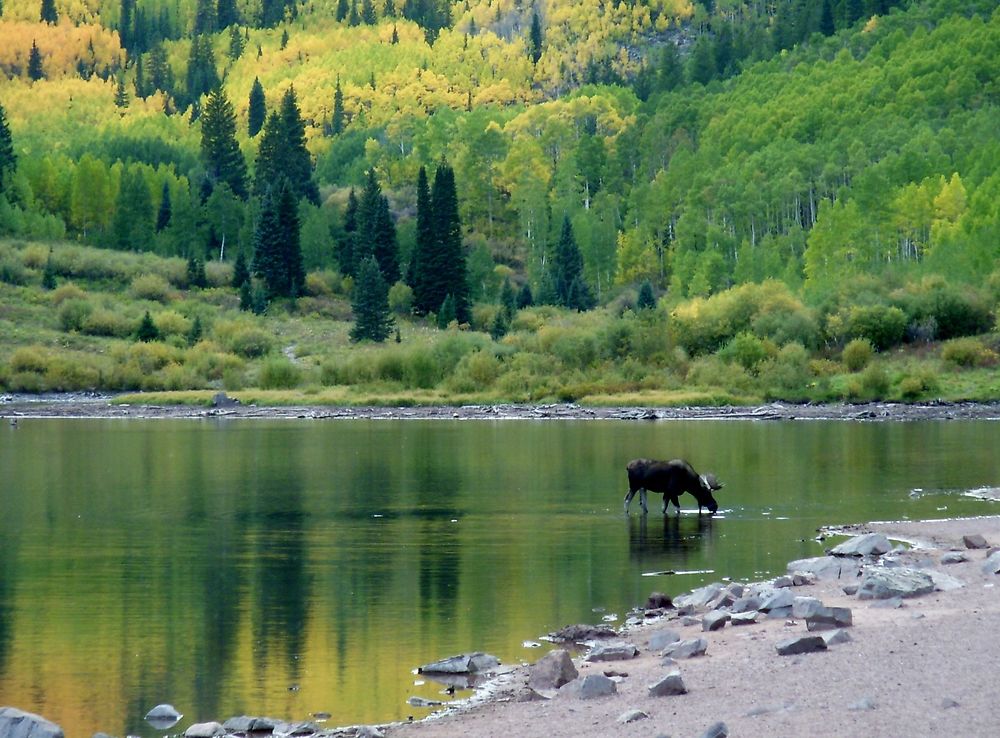 Maroon Bells