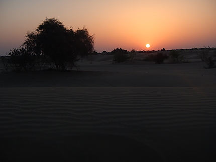 Lever de soleil sur les dunes du désert du Thar