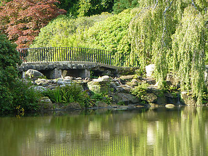 Pont aménagé au Sheffield Park and Garden