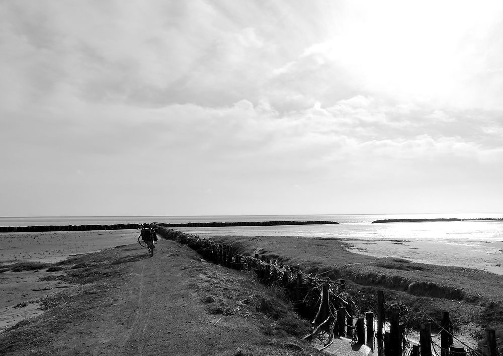 Face à la mer des wadden