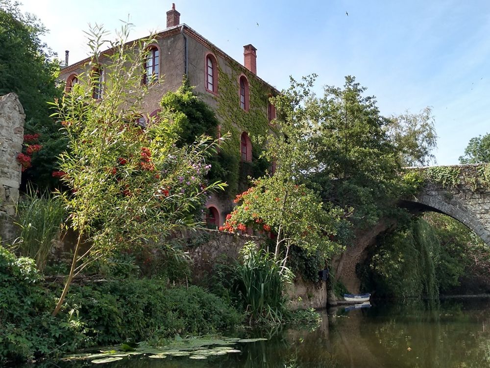 Balade sur la Sèvre Nantaise