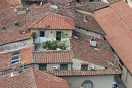 Les toits de Lucca