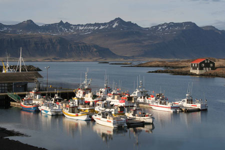 Port de Djupivogur Port de Djupivogur